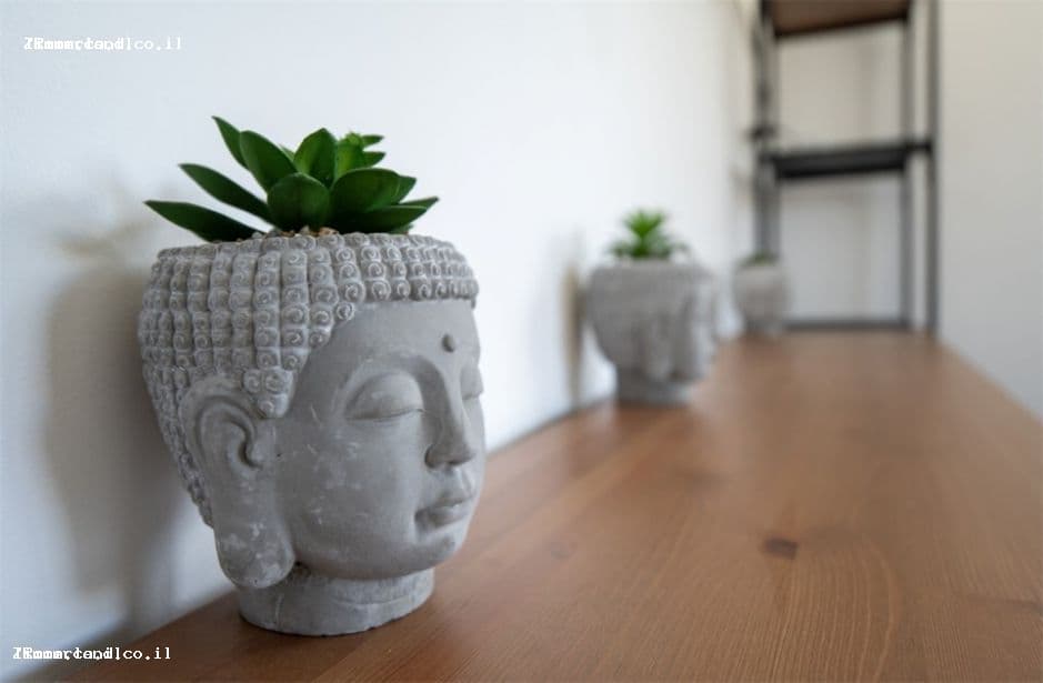 775bf0d3ed9430467c90a718456cfa7062fbf04