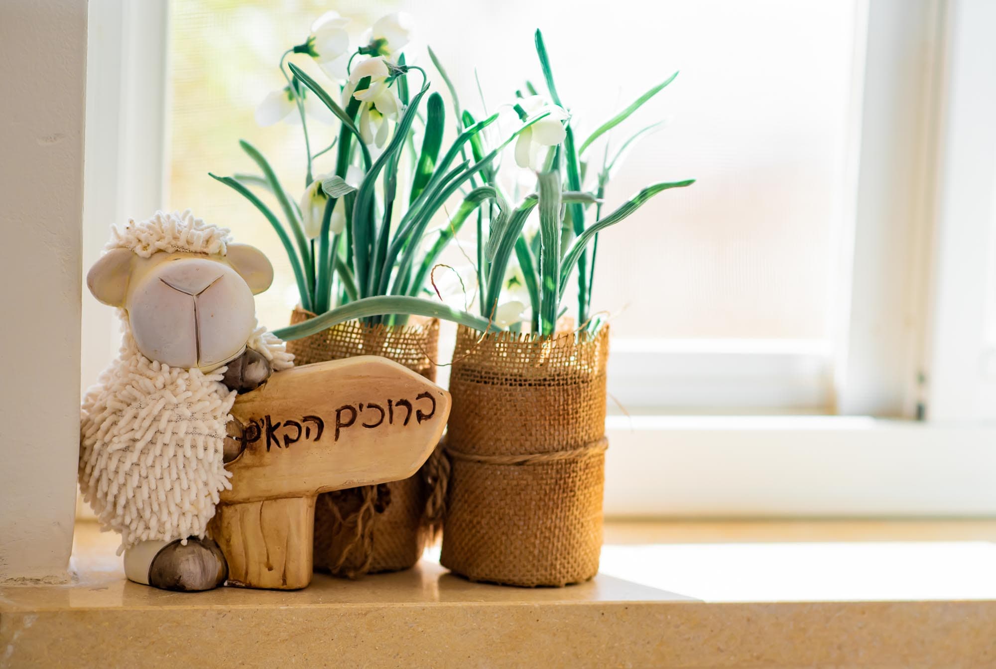 60aa71817140a50b60d20011_אגם