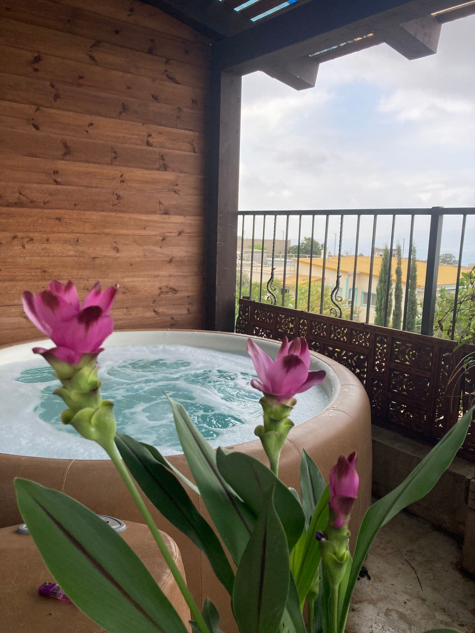 WhatsApp Image 2025-03-15 at 19