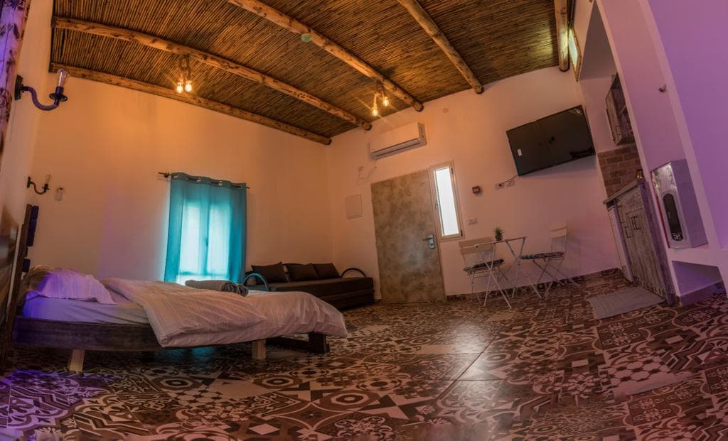 סוויטה3 (4).jpg